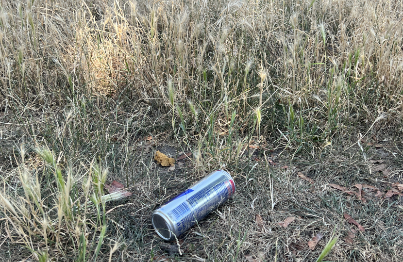 Grass verge in Hampton suffering from litter