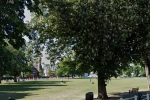 Twickenham Green