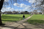 Richmond Green