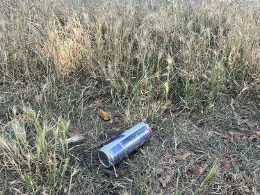 Grass verge in Hampton suffering from litter